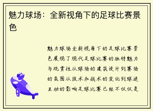 魅力球场：全新视角下的足球比赛景色