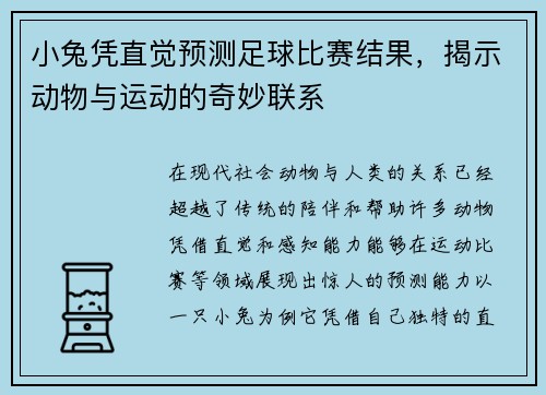 小兔凭直觉预测足球比赛结果，揭示动物与运动的奇妙联系