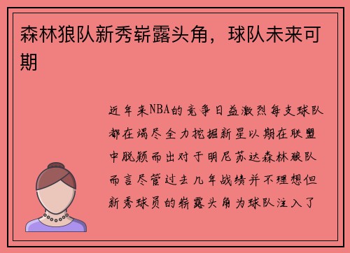 森林狼队新秀崭露头角，球队未来可期