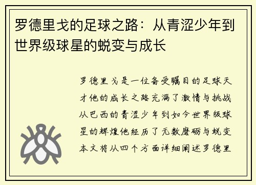 罗德里戈的足球之路：从青涩少年到世界级球星的蜕变与成长