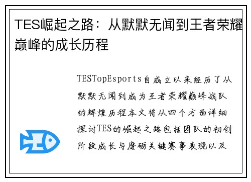 TES崛起之路：从默默无闻到王者荣耀巅峰的成长历程